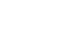 Word press Plug In